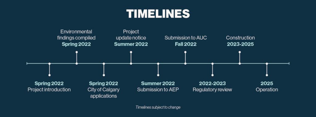 Timeline